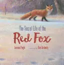 Sekretne życie rudego lisa - The Secret Life of the Red Fox