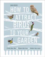 Jak przyciągnąć ptaki do ogrodu - Pokarmy, które lubią, rośliny, które kochają, schronienie, którego potrzebują - How to Attract Birds to Your Garden - Foods they like, plants they love, shelter they need