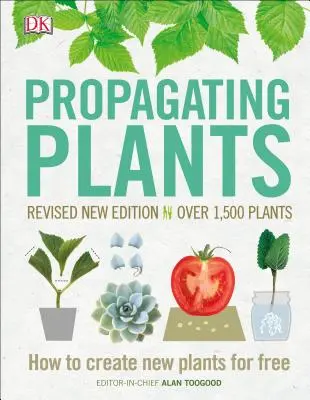 Rozmnażanie roślin: Jak tworzyć nowe rośliny za darmo - Propagating Plants: How to Create New Plants for Free