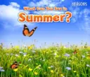 Co można zobaczyć latem? - What Can You See In Summer?