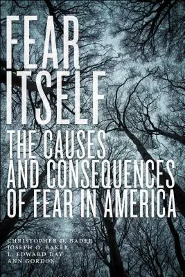 Sam strach: Przyczyny i konsekwencje strachu w Ameryce - Fear Itself: The Causes and Consequences of Fear in America