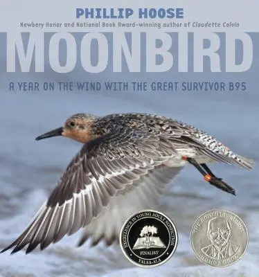 Moonbird: Rok na wietrze z wielkim ocalałym B95 - Moonbird: A Year on the Wind with the Great Survivor B95