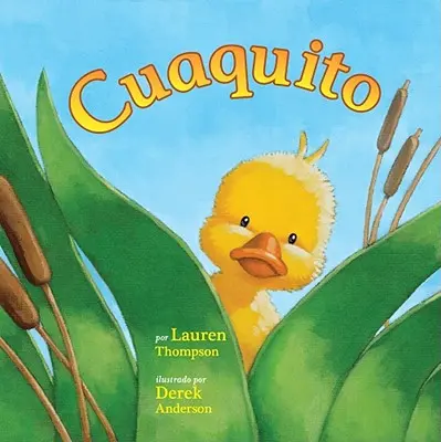 Cuaquito (Little Quack)