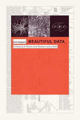 Piękne dane: Historia wizji i rozumu od 1945 roku - Beautiful Data: A History of Vision and Reason since 1945