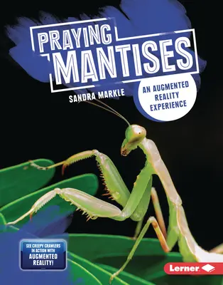 Modliszki: Doświadczenie rozszerzonej rzeczywistości - Praying Mantises: An Augmented Reality Experience