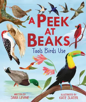 Rzut oka na dzioby: Narzędzia używane przez ptaki - A Peek at Beaks: Tools Birds Use