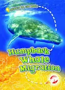 Migracja humbaków - Humpback Whale Migration