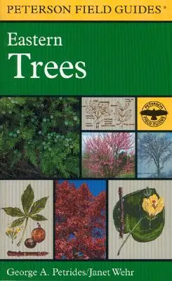 A Peterson Field Guide to Eastern Trees: Wschodnie Stany Zjednoczone i Kanada, w tym Środkowy Zachód - A Peterson Field Guide to Eastern Trees: Eastern United States and Canada, Including the Midwest