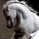 Koń arabski z Egiptu - The Arabian Horse of Egypt