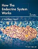 Jak działa układ hormonalny - How the Endocrine System Works