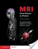 MRI od obrazu do protonu - MRI from Picture to Proton