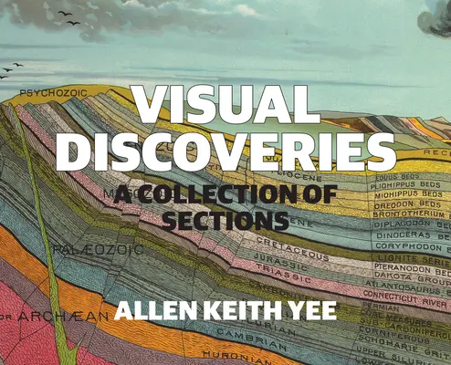 Wizualne odkrycia: Kolekcja sekcji - Visual Discoveries: A Collection of Sections