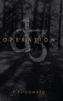 Operacja D3 - Operation D3