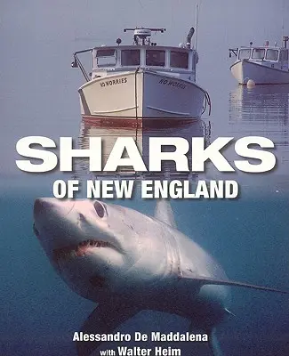 Rekiny Nowej Anglii - Sharks of New England