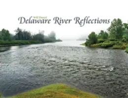 Refleksje nad rzeką Delaware - Delaware River Reflections