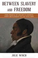 Między niewolnictwem a wolnością: Wolni ludzie kolorowi w Ameryce od osadnictwa do wojny secesyjnej - Between Slavery and Freedom: Free People of Color in America From Settlement to the Civil War