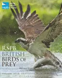 Brytyjskie ptaki drapieżne RSPB - RSPB British Birds of Prey