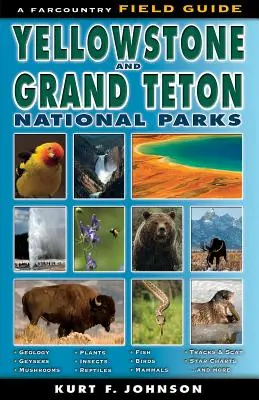 Przewodnik terenowy po parkach narodowych Yellowstone i Grand Teton - The Field Guide to Yellowstone and Grand Teton National Parks