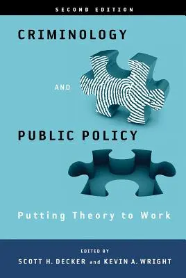 Kryminologia i polityka publiczna: Putting Theory to Work: Teoria w praktyce - Criminology and Public Policy: Putting Theory to Work: Putting Theory to Work