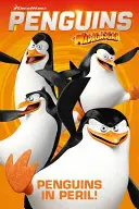 Pingwiny z Madagaskaru - Pingwiny w niebezpieczeństwie - Penguins of Madagascar - Penguins in Peril