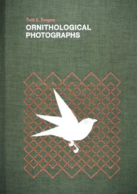 Fotografie ornitologiczne - Ornithological Photographs