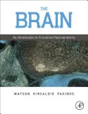 The Brain: Wprowadzenie do neuroanatomii funkcjonalnej - The Brain: An Introduction to Functional Neuroanatomy