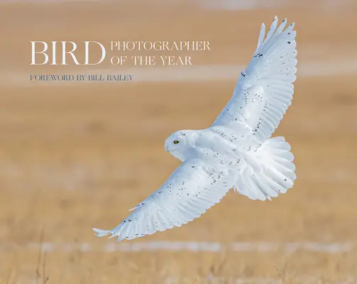 Ptasi Fotograf Roku - Kolekcja 6 - Bird Photographer of the Year - Collection 6