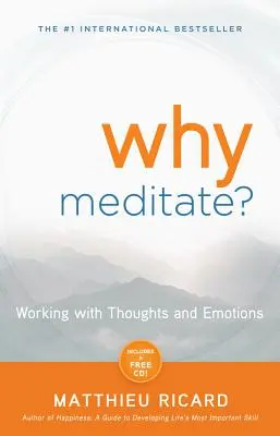 Dlaczego warto medytować? - Why Meditate?