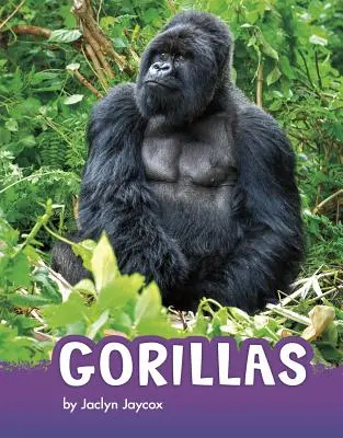 Goryle - Gorillas