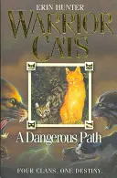 Niebezpieczna ścieżka - Dangerous Path