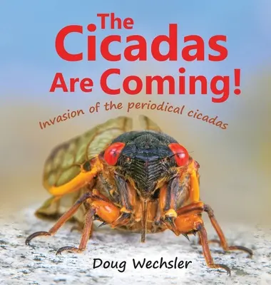 Nadchodzą cykady! Inwazja cykad! - The Cicadas Are Coming!: Invasion of the Periodical Cicadas