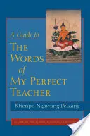 Przewodnik po słowach mojego idealnego nauczyciela - A Guide to the Words of My Perfect Teacher