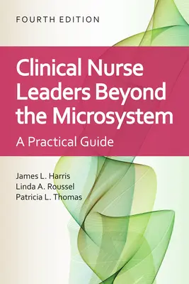 Liderzy pielęgniarstwa klinicznego: Beyond the Microsystem: Beyond the Microsystem - Clinical Nurse Leaders: Beyond the Microsystem: Beyond the Microsystem