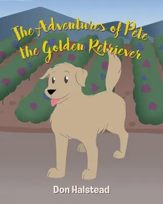 Przygody golden retrievera Pete'a - The Adventures of Pete the Golden Retriever