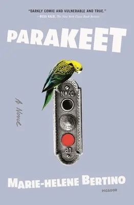 Papużki nierozłączki - Parakeet
