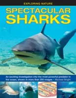 Spektakularne rekiny: Ekscytujące dochodzenie w sprawie najpotężniejszego drapieżnika w oceanie, pokazane na ponad 200 zdjęciach - Spectacular Sharks: An Exciting Investigation Into the Most Powerful Predator in the Ocean, Shown in More Than 200 Images