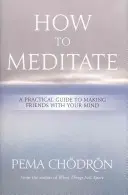 Jak medytować: Praktyczny przewodnik po zaprzyjaźnianiu się z umysłem - How to Meditate: A Practical Guide to Making Friends with Your Mind