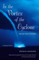 W wirze cyklonu: Wybrane wiersze - In the Vortex of the Cyclone: Selected Poems