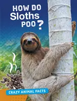 Jak leniwce robią kupę? - How Do Sloths Poo?