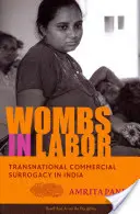 Wombs in Labor: Międzynarodowe komercyjne macierzyństwo zastępcze w Indiach - Wombs in Labor: Transnational Commercial Surrogacy in India