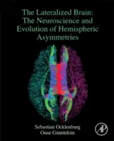 Lateralized Brain - The Neuroscience and Evolution of Hemispheric Asymmetries (Ocklenburg Sebastian (Ruhr-Universitat Bochum Bochum Germany))