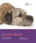 Border Terrier