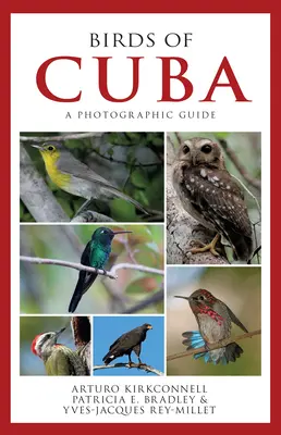 Ptaki Kuby: Przewodnik fotograficzny - Birds of Cuba: A Photographic Guide