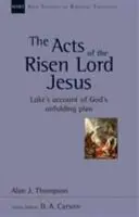 Dzieje Zmartwychwstałego Pana Jezusa - relacja Łukasza o rozwijającym się Bożym planie - Acts of the Risen Lord Jesus - Luke'S Account Of God'S Unfolding Plan