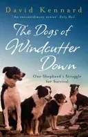 Psy z Windcutter Down - Dogs of Windcutter Down