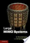 Duże systemy Mimo - Large Mimo Systems