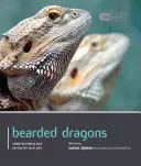 Smok brodaty - Bearded Dragon