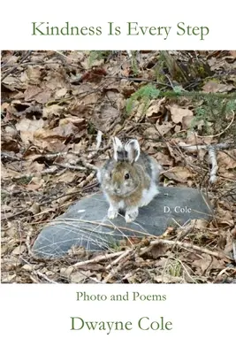 Życzliwość jest na każdym kroku - Kindness Is Every Step