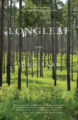 Długi liść - Longleaf