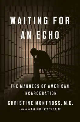 Czekając na echo: Szaleństwo amerykańskiego więzienia - Waiting for an Echo: The Madness of American Incarceration